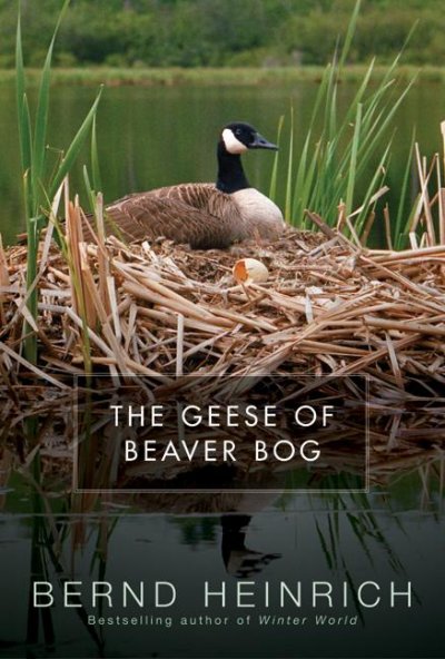 The geese of Beaver Bog / Bernd Heinrich.