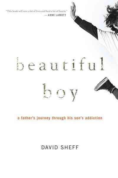 Beautiful boy : a father's journey through his son's addiction / David Sheff.