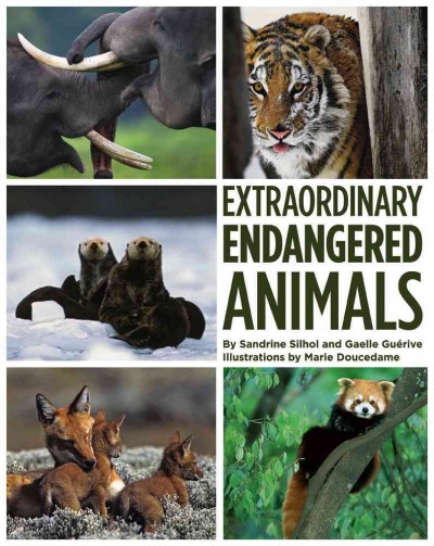 Extraordinary endangered animals / by Sandrine Silhol and Gaëlle Guérive ; illustrations by Marie Doucedame. --.