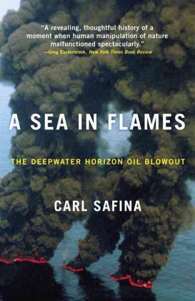 A sea in flames [electronic resource] : the Deepwater Horizon Oil blowout / Carl Safina.