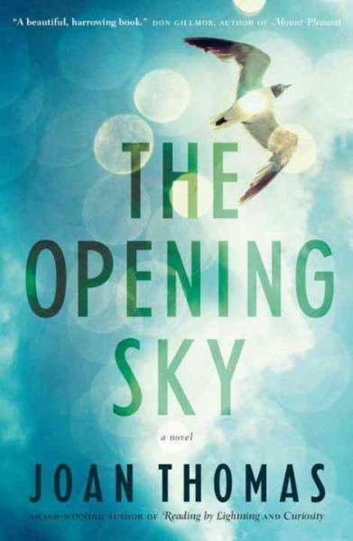 The opening sky : a novel / Joan Thomas.