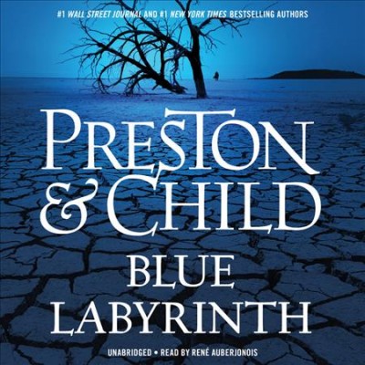 Blue labyrinth / Douglas Preston, Lincoln Child.