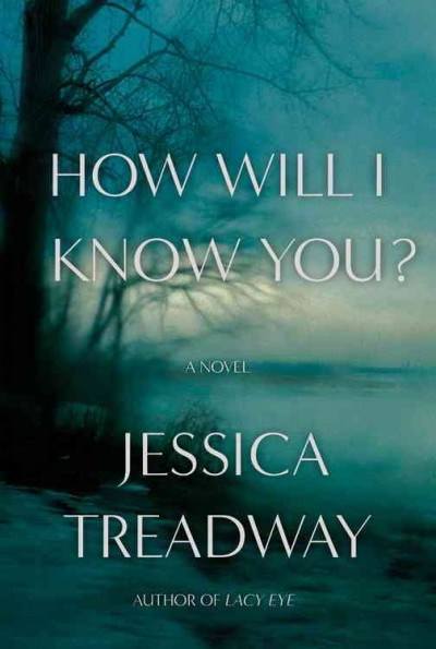 How will I know you? : a novel / Jessica Treadway.