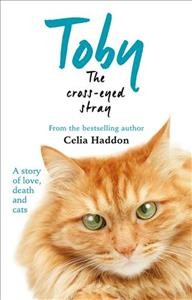 Toby the cross-eyed stray Celia Haddon