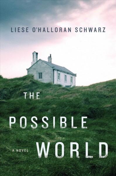 The possible world : a novel / Liese O'Halloran Schwarz.