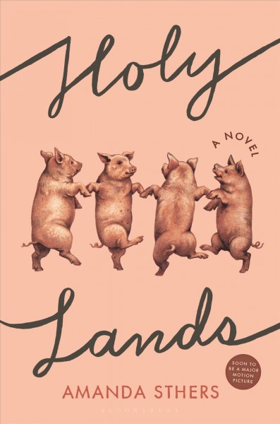 Holy lands : a novel / Amanda Sthers.