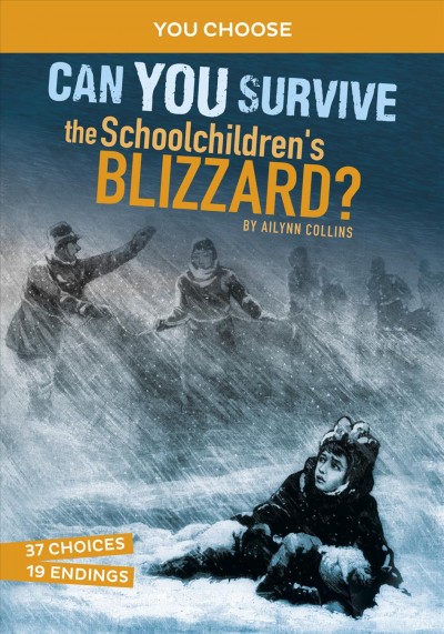 You Choose:  Can you survive the schoolchildren's blizzard? / Ailynn Collins.