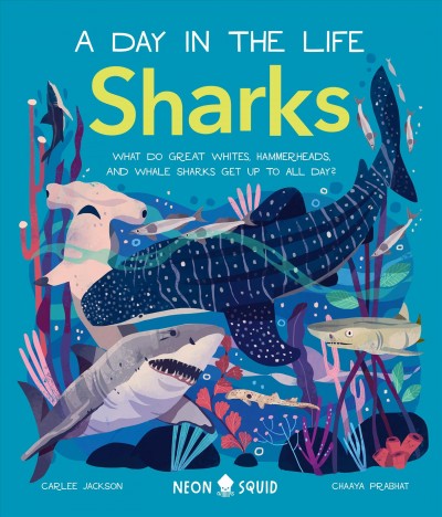 Sharks : what do great whites, hammerheads, and whale sharks get up to all day? / Carlee Jackson ; illustrator, Chaaya Prabhat ; US editor, Allison Singer.