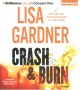 Crash & burn: a novel Cover Image