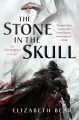 The stone in the skull  Cover Image