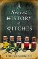 A secret history of witches : a novel  Cover Image