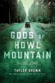 Gods of Howl Mountain : a novel  Cover Image