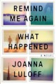 Remind me again what happened : a novel  Cover Image