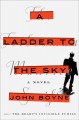 A ladder to the sky : a novel  Cover Image