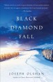 Black Diamond Fall : a novel  Cover Image