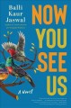 Now you see us : a novel  Cover Image